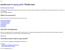 Tablet Screenshot of foragingguide.com